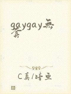 gaygay无套