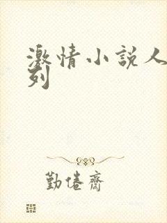 激情小说人妻系列