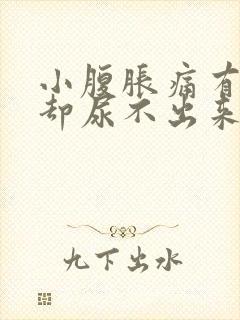 小腹胀痛有尿意却尿不出来