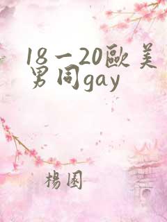 18一20欧美男同gay