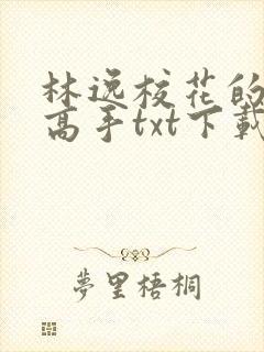 林逸校花的贴身高手txt下载