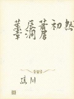 叶辰萧初然第几章洞房