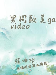 男同欧美gay video