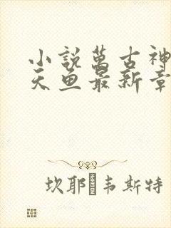 小说万古神帝飞天鱼最新章节列表列表