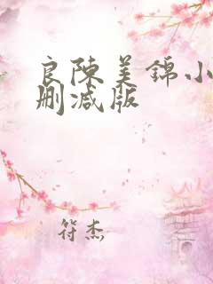 良陈美锦小说无删减版