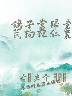 鸽子当归党参黄芪枸杞红枣汤功效