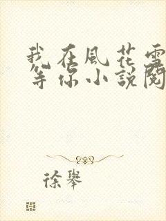 我在风花雪月里等你小说阅读