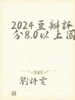 2024豆瓣评分8.0以上国产连续剧