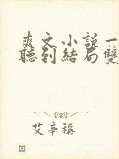 爽文小说一口气听到结局双男主