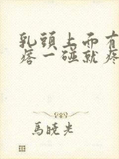 乳头上面有小疙瘩一碰就疼