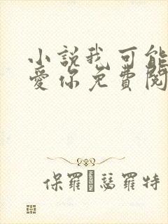 小说我可能不会爱你免费阅读