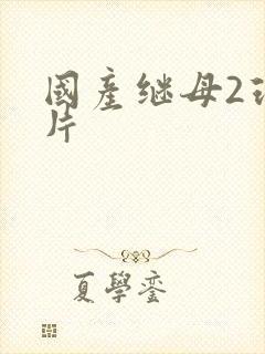 国产继母2理伦片