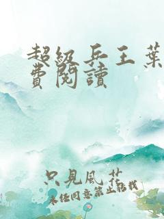 超级兵王叶谦免费阅读