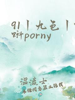 91丨九色丨蝌蚪porny