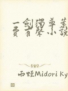 一剑独尊叶玄免费有声小说第一集