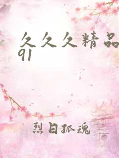 久久久精品国产91