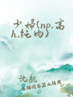 少妇(np,高h,纯肉)
