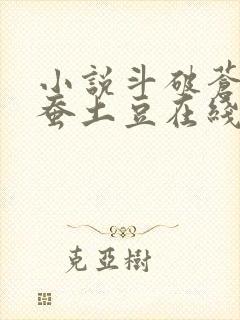 小说斗破苍穹天蚕土豆在线阅读