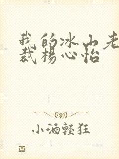 我的冰山老婆总裁杨心怡