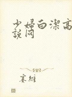 少妇白洁高义小说网