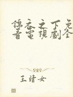 锦衣之下免费观看电视剧全集在线播放