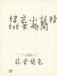 绍宋小说精校版txt笔趣阁