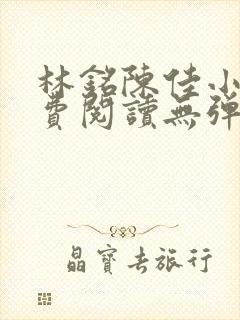 林铭陈佳小说免费阅读无弹窗下载