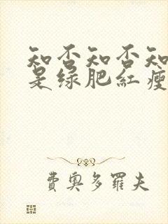 知否知否知否应是绿肥红瘦哪个平台