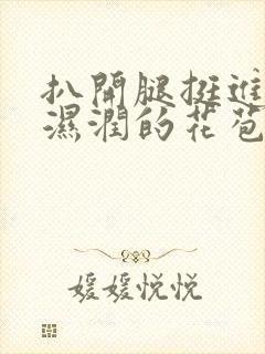 扒开腿挺进小舞湿润的花苞视频