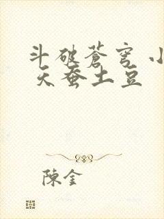 斗破苍穹 小说 天蚕土豆