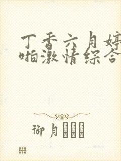 丁香六月婷婷啪啪激情综合