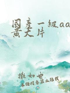 国产一级aa特黄大片