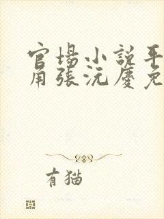 官场小说平凡主角张沅庆免费阅读