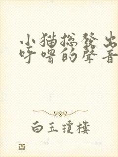 小猫总发出呼噜呼噜的声音怎么回事