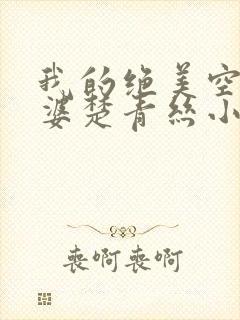 我的绝美空姐老婆楚青丝小说