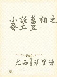 小说万相之王天蚕土豆