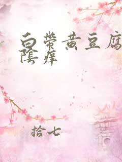 白带黄豆腐渣外阴痒