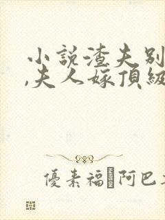 小说渣夫别跪了,夫人嫁顶级大佬显怀了