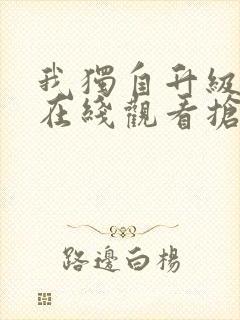 我独自升级动漫在线观看抢先版