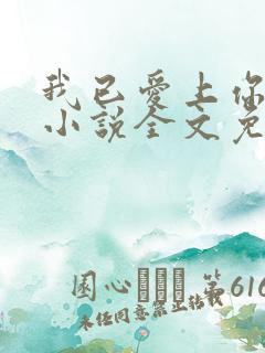 我已爱上你陈超小说全文免费阅读