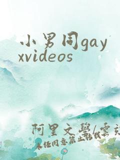 小男同gay xvideos