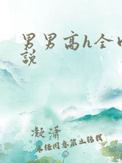 男男高h全肉小说