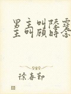 男主叫陆霆骁女主叫顾时念的小说