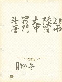 斗罗大陆2绝世唐门中霍雨浩