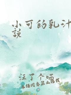 小可的乳汁 小说
