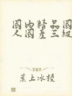 国内精品国产成人国产三级