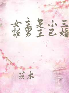女主是小三的小说男主已婚现代