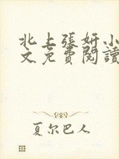 北上张妍小说全文免费阅读