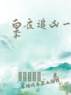 白夜追凶一共几季