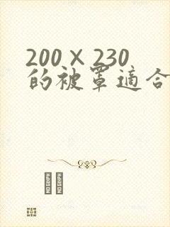 200×230的被罩适合多大的被子